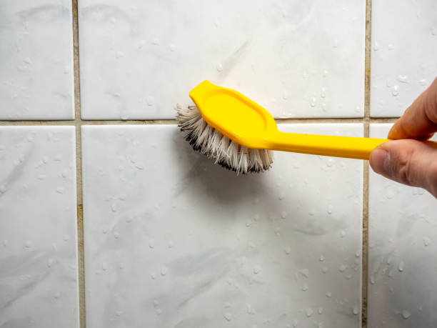 Best Office Mold Removal Services  in Lampasas, TX