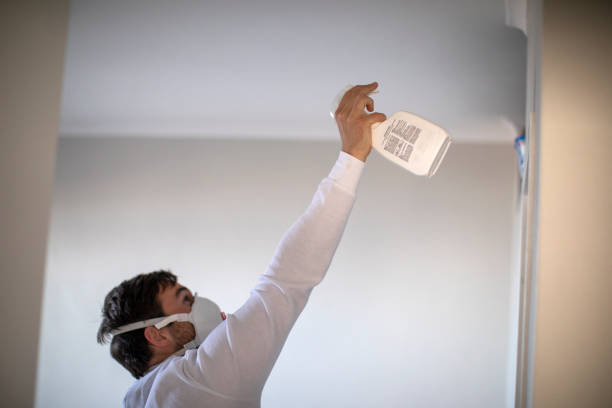 Best Office Mold Removal Services  in Lampasas, TX