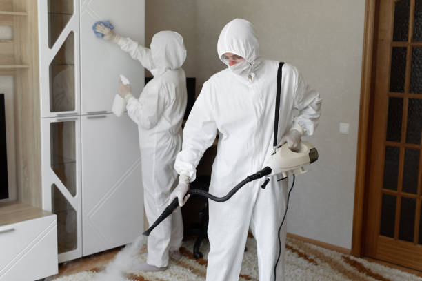 Best Certified Mold Removal  in Lampasas, TX