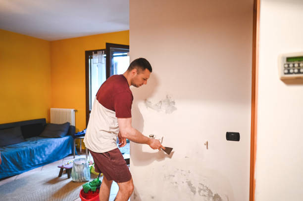 Best Commercial Mold Removal  in Lampasas, TX