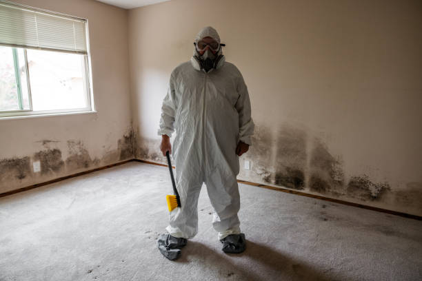 Best Mold Cleaning Services  in Lampasas, TX